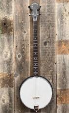 GOLD TONE AC-4P Acoustic Composite Plectrum Banjo_3