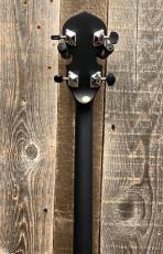 GOLD TONE AC-4P Acoustic Composite Plectrum Banjo_7