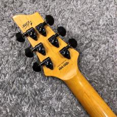 SCHECTER Diamond Series C-1 Jerry Horton Signature【中古品】【2001年製】_6