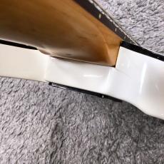 SCHECTER Diamond Series C-1 Jerry Horton Signature【中古品】【2001年製】_9