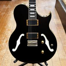 FERNANDES MV-95HT