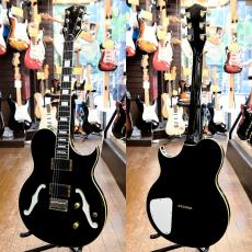 FERNANDES MV-95HT_2