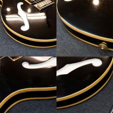 FERNANDES MV-95HT_9