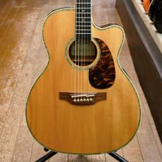 Takamine DMP700CAD-DC