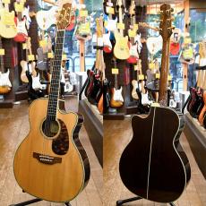 Takamine DMP700CAD-DC_2