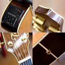 Takamine DMP700CAD-DC_3
