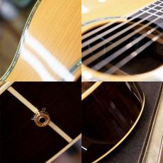Takamine DMP700CAD-DC_5