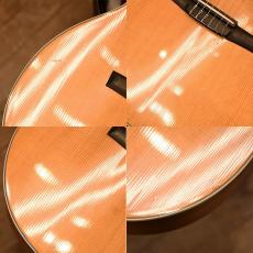 Taylor 214ce-N_7