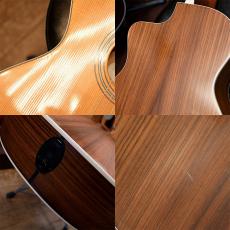 Taylor 214ce-N_8