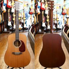 Martin D-1_2