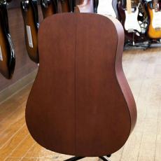 Martin D-1_4