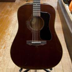 Guild D-25M