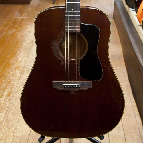 Guild D-25M