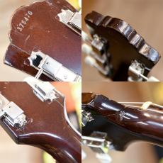 Guild D-25M_3