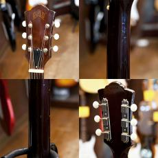Guild D-25M_4