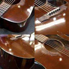 Guild D-25M_6