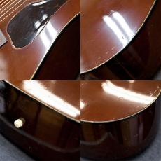 Guild D-25M_7