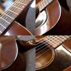 Guild D-25M_8