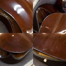 Guild D-25M_10