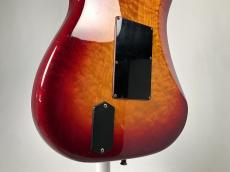 FERNANDES FST -Cherry Sunburst- 【USED】_10