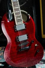 LTD Viper-1000FM See Thru Black Cherry / 2005