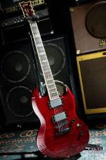 LTD Viper-1000FM See Thru Black Cherry / 2005_2