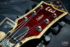 LTD Viper-1000FM See Thru Black Cherry / 2005_3