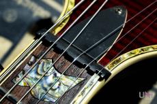 LTD Viper-1000FM See Thru Black Cherry / 2005_4