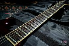 LTD Viper-1000FM See Thru Black Cherry / 2005_5