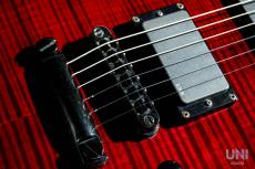 LTD Viper-1000FM See Thru Black Cherry / 2005_6