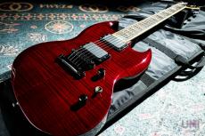 LTD Viper-1000FM See Thru Black Cherry / 2005_11