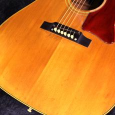 Gibson 【USED】J-50 1967年製【状態良好】【ナローネック】【ワンオーナー】_3