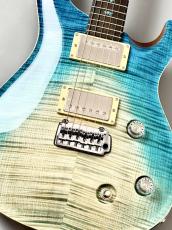 Provision 【ハカランダネック&指板】PR-G Resonate Custom 35th Anniversary#001 Clacier Blue【4.10KG】_2