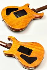 Provision 【ハカランダネック&指板】PR-G Resonate Custom 35th Anniversary#001 Clacier Blue【4.10KG】_7