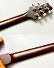 Provision 【ハカランダネック&指板】PR-G Resonate Custom 35th Anniversary#001 Clacier Blue【4.10KG】_10