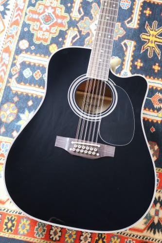 Takamine 【人気の12弦】EF381SC 【送料当社負担・最大48回分割無金利】