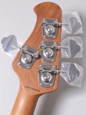 Sterling by MUSIC MAN RAY34 -Dorado Green-【4.18kg】_11