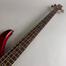 YAMAHA TRBX304_3