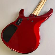 YAMAHA TRBX304_5