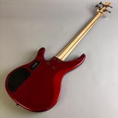 YAMAHA TRBX304_6