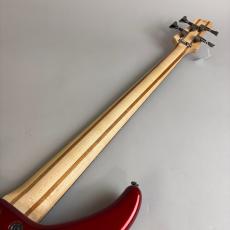 YAMAHA TRBX304_7