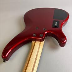 YAMAHA TRBX304_10