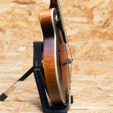 Gibson Sierra Hull F-5G_4