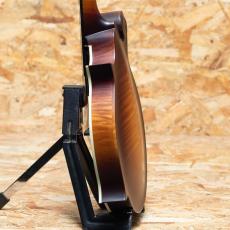Gibson Sierra Hull F-5G_5