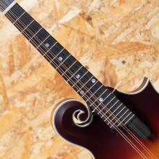 Gibson Sierra Hull F-5G_6