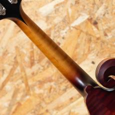 Gibson Sierra Hull F-5G_7