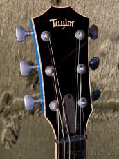Taylor 【Andy Powers Selection】BTO Custom GA Quote#13257 -Koi Blue- #1204156097 【48回迄金利0%対象】_4