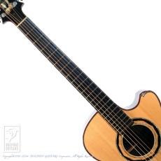 WATER ROAD GUITARS Deep Arte Custom (African Blackwood)_5