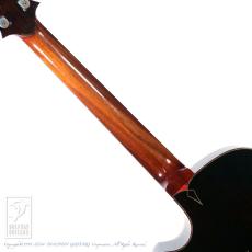 WATER ROAD GUITARS Deep Arte Custom (African Blackwood)_6