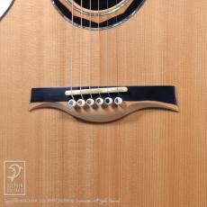WATER ROAD GUITARS Deep Arte Custom (African Blackwood)_13